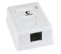 Cabeus WS-8P8C-Cat.6-1 Розетка компьютерная RJ-45(8P8C), категория 6, одинарная, внешняя, Dual IDC
