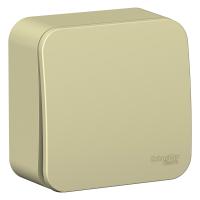 Systeme Electric BLNVA101017 Blanca открытой установки 1-клавишный выключатель (сх.1) изол.пл., 10А, 250В,бежевый
