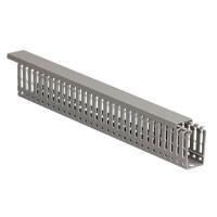 IEK CKM50-025-060-1-K03 Кабель канал перфорированный 25х60 "ИМПАКТ"