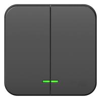 Systeme Electric BLNVA105106 Blanca открытой установки 2-клавишный выключатель (сх.5) с подсв., 10А, 250В, антрацит