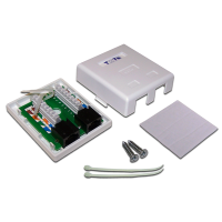 TWT TWT-SM2-4545/6-WH Настенная розетка, 2 порта RJ-45 категории 6, UTP, белая