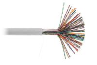 NETLAN EC-UU050-5-PVC-GY-3 Кабель U/UTP 50 пар, Кат.5 (Класс D), 100МГц, одножильный, BC (чистая медь), Ø 0.47 мм, внутренний, PVC нг(B), серый, 305м