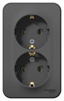 Systeme Electric BLNRA010216 Blanca розетка наружная двойная с заземлением без шторок с изолирующей пластиной, 16А, 250В, антрацит