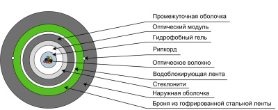 CLT-A-9-01X16-Z-PE-ARM-PE-DD-OUT-40_схема