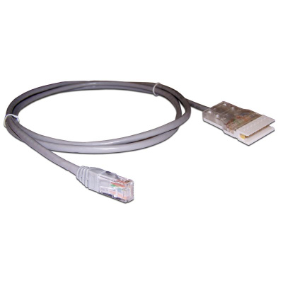 LAN-45-P4