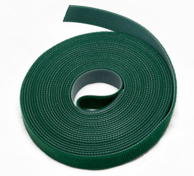 wasnr green 1