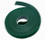 wasnr green 1