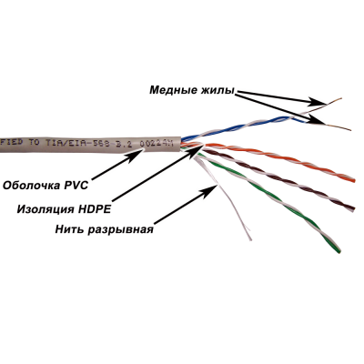 TWT-5EUTP-XS-100