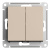 ATN001251_1