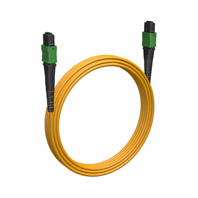 Cabeus FOP-9-12-MPO(F)-12-MPO(F)