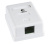 WS-8P8C-Cat6-1