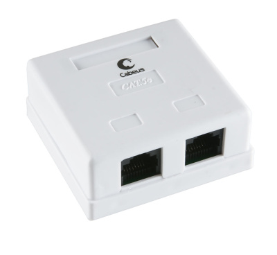 WS-8P8C-Cat5e-2P