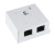 WS-8P8C-Cat5e-2P