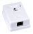 WS-8P8C-Cat6-SH-1