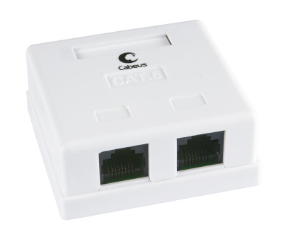 WS-8P8C-Cat6-2