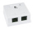 WS-8P8C-Cat6-2